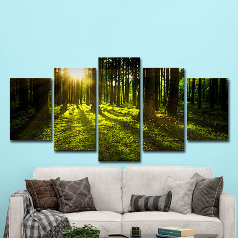 Brehn | Zonlicht Schijnt Door Bos Canvas Multi-Piece Moderne Woonkamer Muur Kunst in Groen