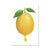 Brehn | Simplicity Lemon Leinwanddruck in Gelb auf Weiß Wohnzimmer Wandkunst, Texturiert