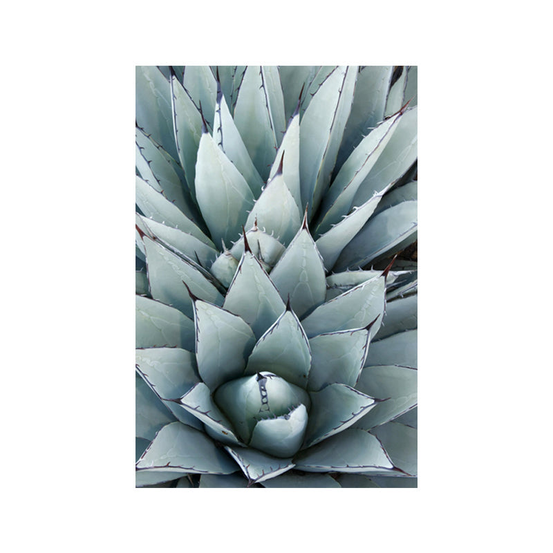 Brehn | Modern Botanic Aloe Vera Leinwanddruck Pastellfarbe Strukturiert Wandkunst für Raum