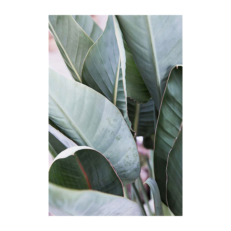 Brehn | Botanische Wandkunst Nordic Texturiertes Wohnzimmer Leinwanddruck in Hellfarbe
