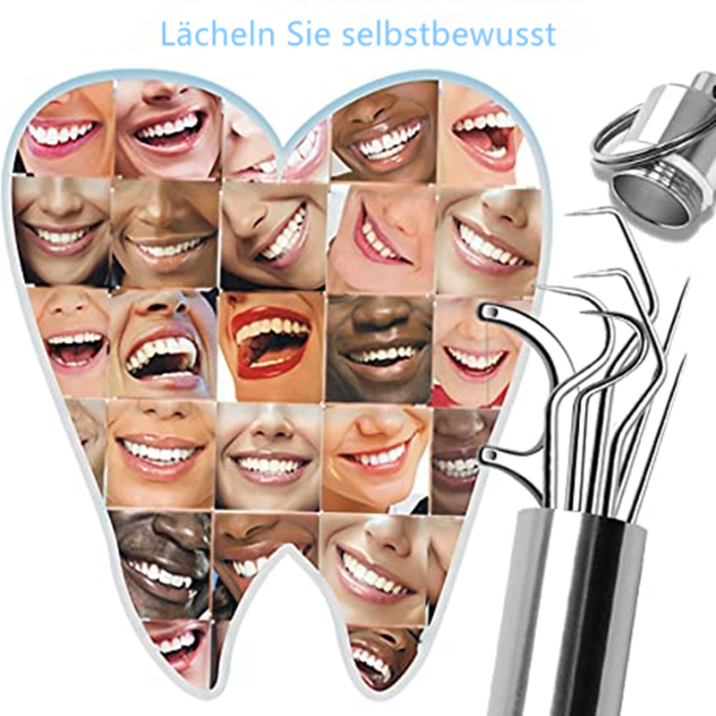 Brehn | Zahnstocher-Set aus Edelstahl (7 Stk)