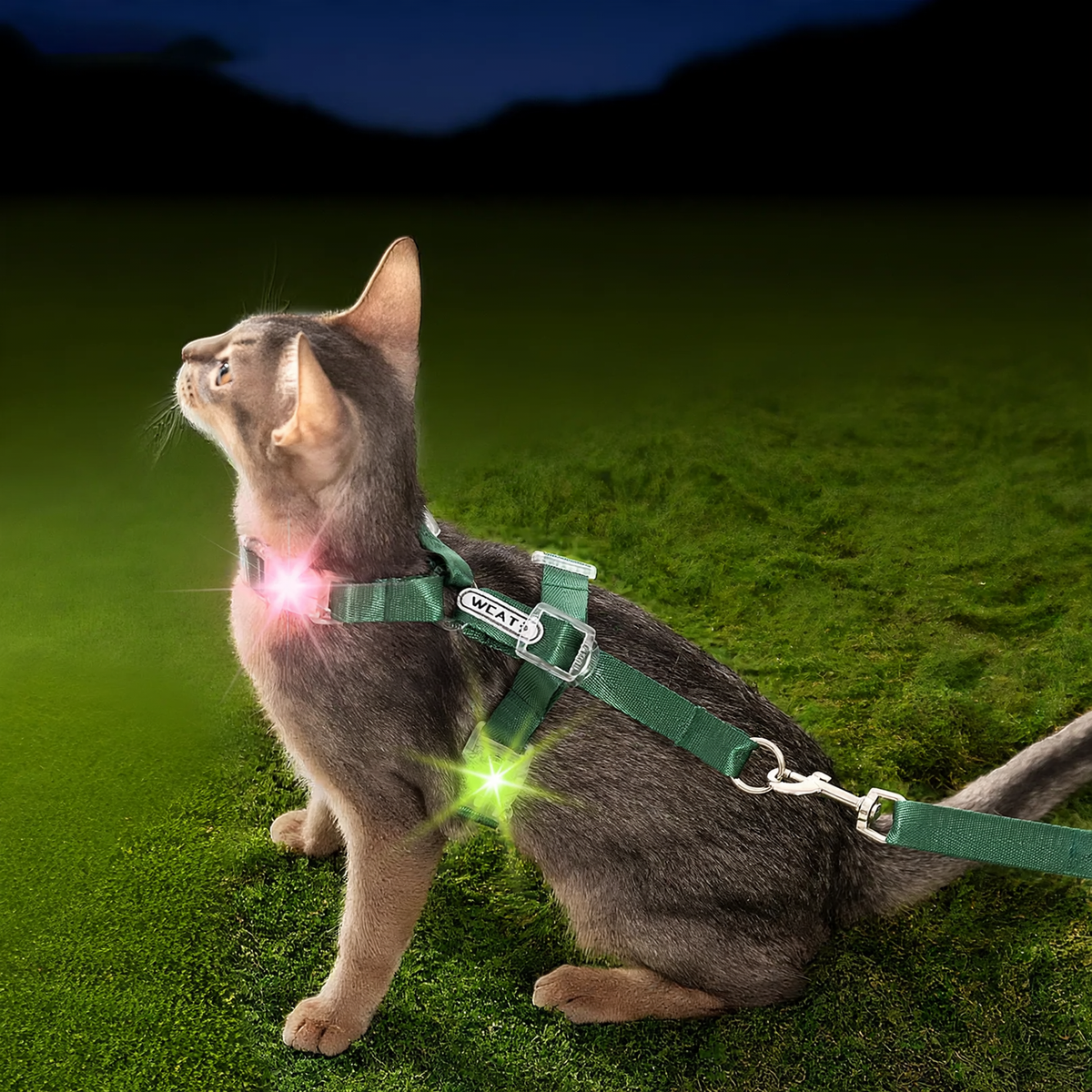 Katzen-Brustgeschirr, Polyester, mit Leuchtversion