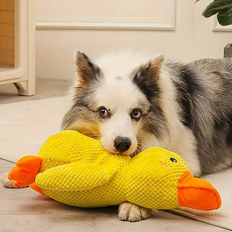 Beruhigender Enten für Hunde