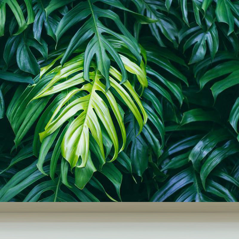 Brehn | Folie Wand Decal Tropisch Sierlijk Meisjes Slaapkamer Wand Bekleding, Personaliseer