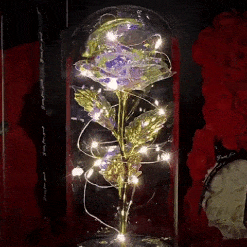 Rose in Glaskuppel Display | Brehn