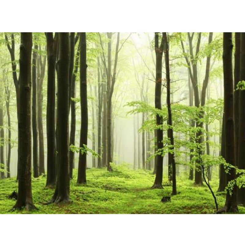 Brehn | Moderne Stil Landschaft Wandtattoo Vliesstoff Wasserfest Pastell Wandkunst für Zuhause