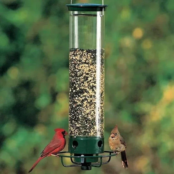 Brehn | BirdHaven eichhörnchen-sicherer Vogelhäuschen