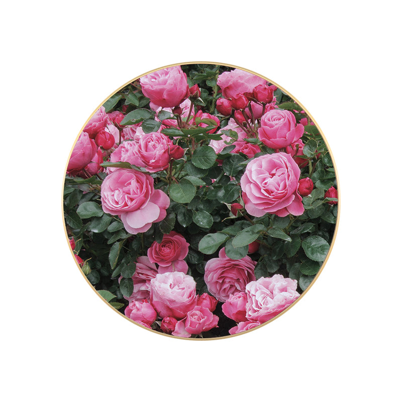 Brehn | Französische Landblumenblüte Leinwand Pastellfarbe Texturiertes Gemälde für das Wohnzimmer