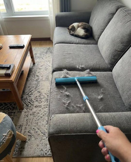 Tierhaareentferner Besen mit Teleskopstiel | Brehn