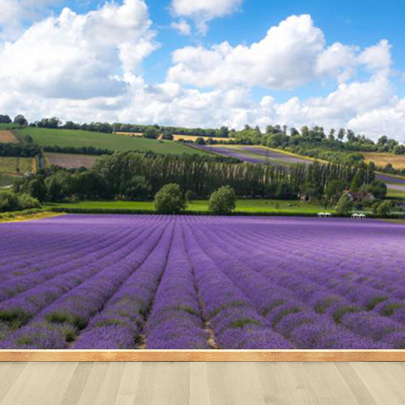 Brehn | Large Sky Landscape Wall Art Contemporary Natural Landscape Wall Decoration in Pastel Colors