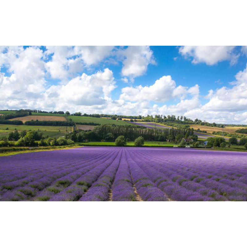 Brehn | Large Sky Landscape Wall Art Contemporary Natural Landscape Wall Decoration in Pastel Colors
