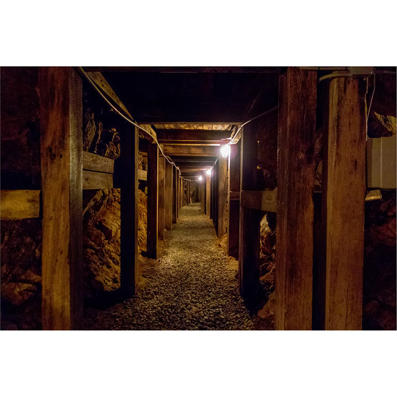 Brehn | Tunnel Muurbehang Licht Kleur Noviteit Stijl Wandbedekking voor Meisjes Slaapkamer