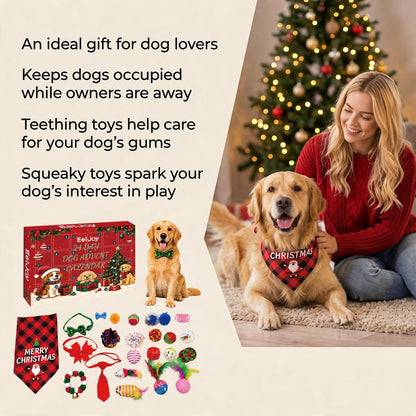 Adventskalender für Hunde