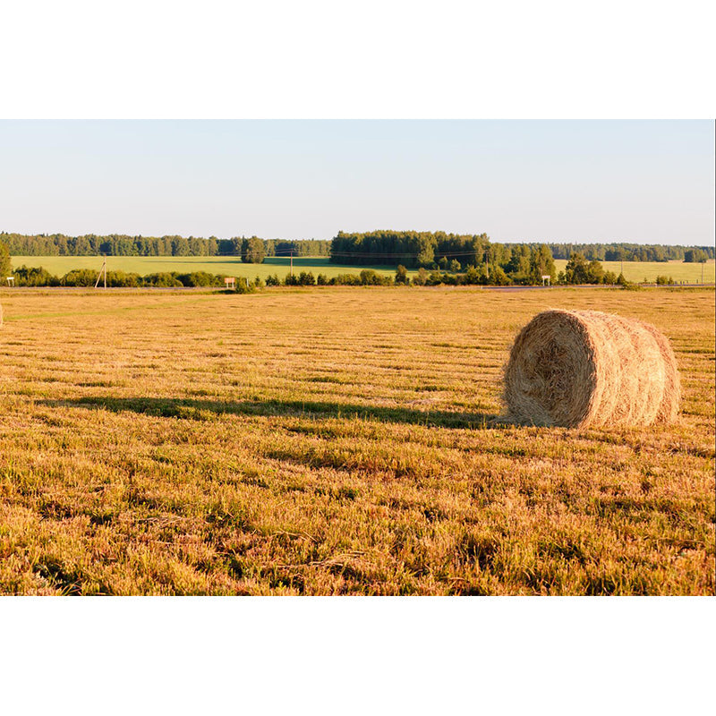 Brehn | Farmland Heuballen Wandtapete Zeitgenössisches Vliesbehang Wanddekoration für Zuhause