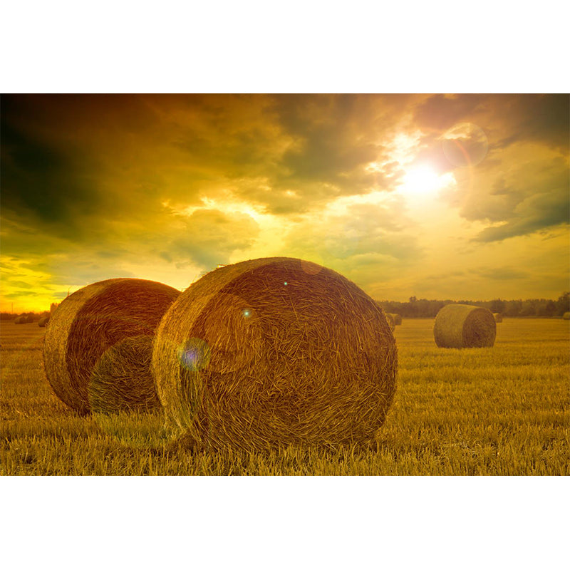 Brehn | Farmland Heuballen Wandtapete Zeitgenössisches Vliesbehang Wanddekoration für Zuhause