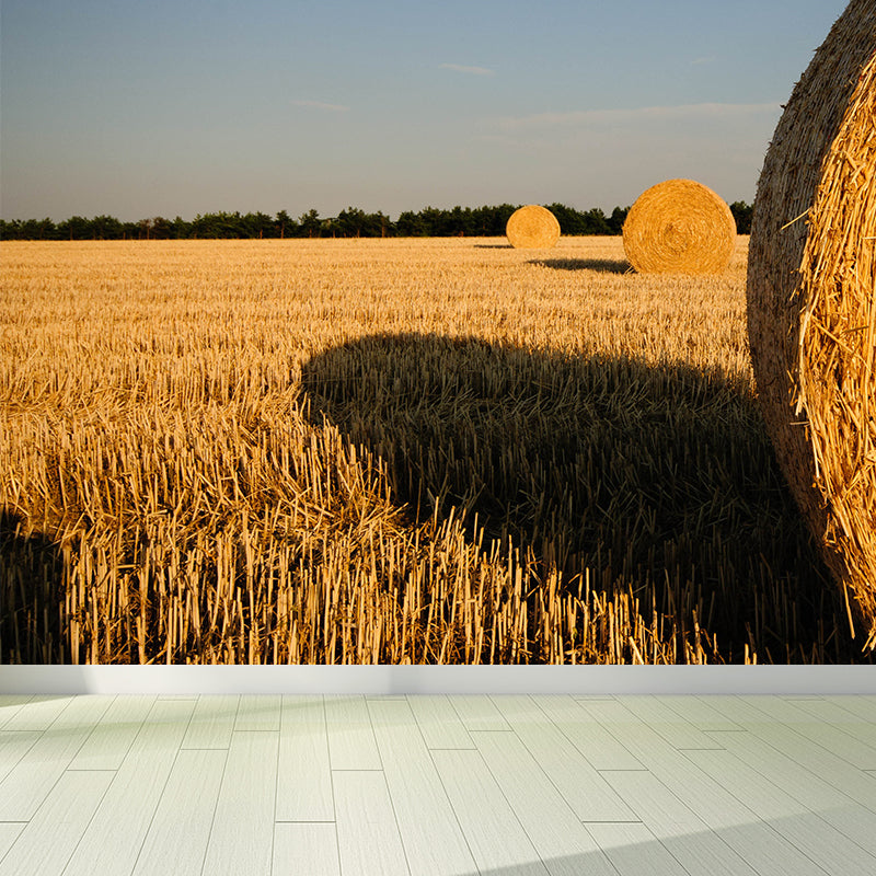 Brehn | Farmland Heuballen Wandtapete Zeitgenössisches Vliesbehang Wanddekoration für Zuhause
