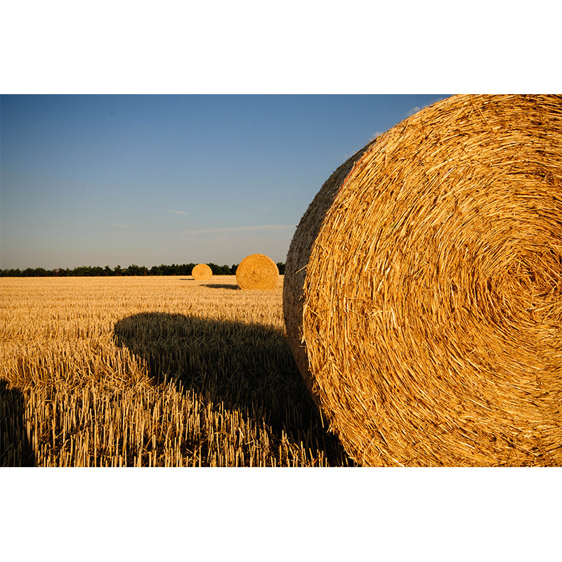 Brehn | Farmland Heuballen Wandtapete Zeitgenössisches Vliesbehang Wanddekoration für Zuhause