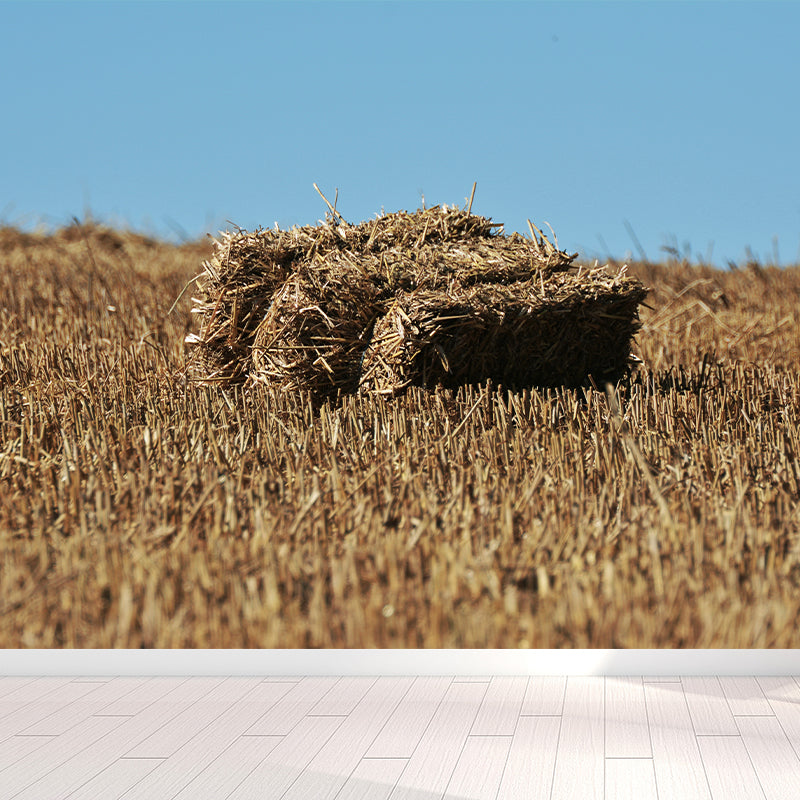 Brehn | Farmland Heuballen Wandtapete Zeitgenössisches Vliesbehang Wanddekoration für Zuhause