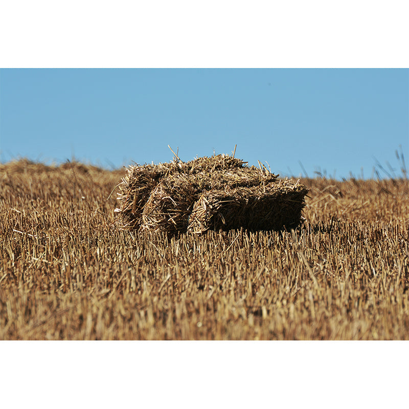Brehn | Farmland Heuballen Wandtapete Zeitgenössisches Vliesbehang Wanddekoration für Zuhause
