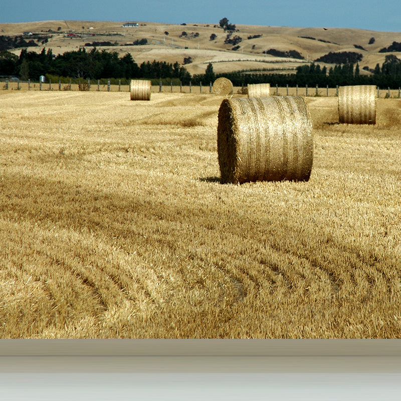 Brehn | Farmland Heuballen Wandtapete Zeitgenössisches Vliesbehang Wanddekoration für Zuhause