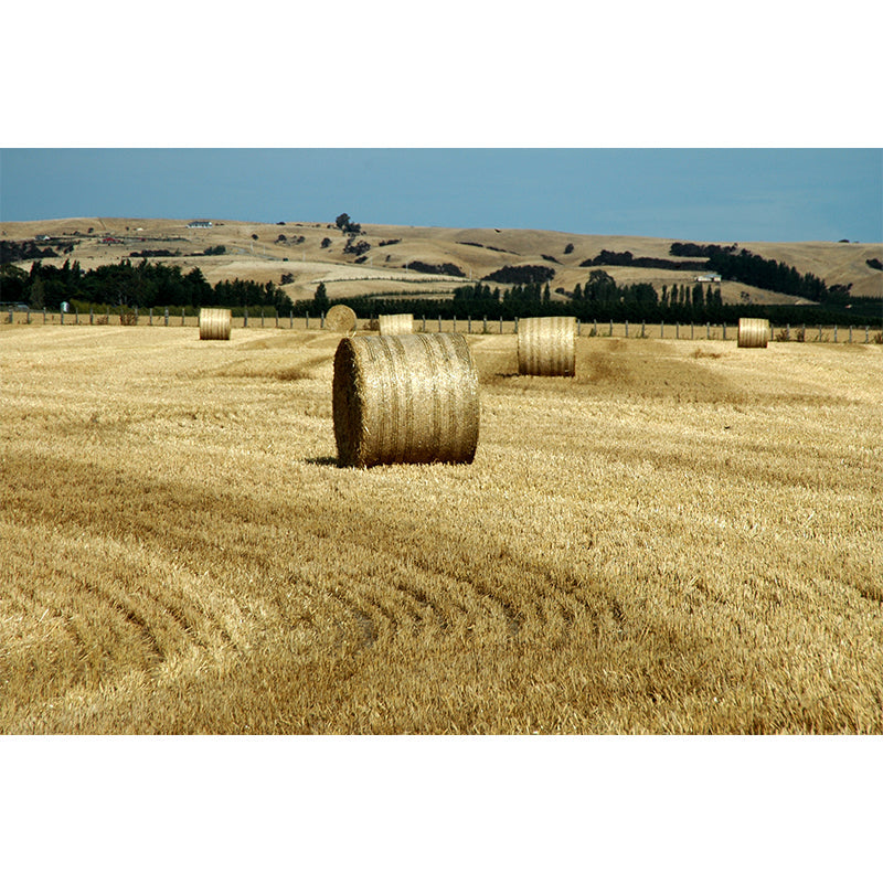 Brehn | Farmland Heuballen Wandtapete Zeitgenössisches Vliesbehang Wanddekoration für Zuhause