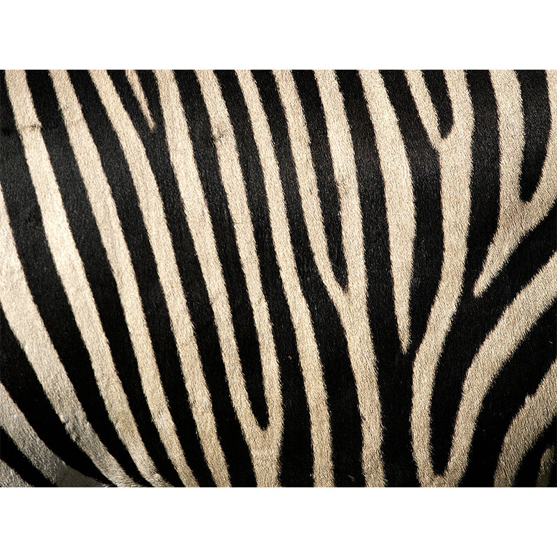 Brehn | Donkere kleur moderne wandmuur sticker grote dierenprint wandbekleding voor woonkamer