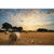 Brehn | Modern wheat field wall sticker light color stain-resistant wall decoration for the living room