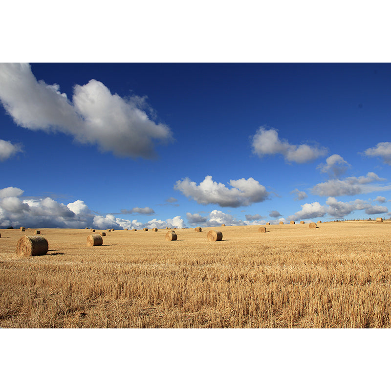 Brehn | Modern wheat field wall sticker light color stain-resistant wall decoration for the living room