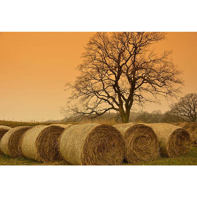 Brehn | Modern wheat field wall sticker light color stain-resistant wall decoration for the living room