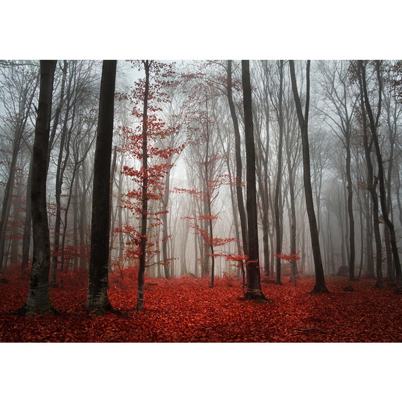 Brehn | Hedendaagse Mistige Bos Muurdecal Pastel Kleur Natuurlijke Landschap Muurcovering