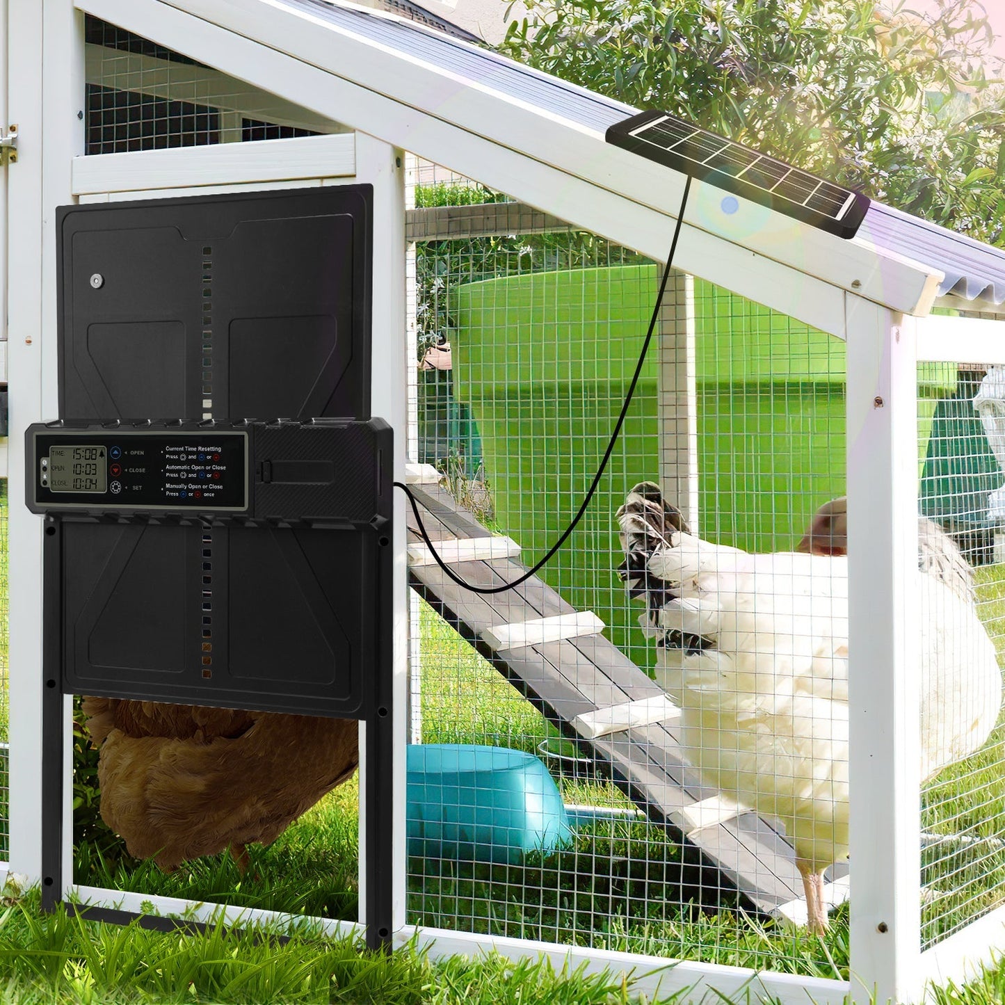 Elektrische Hühnerklappe Solar mit LED Display und Fernbedienung | Brehn