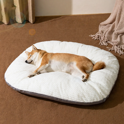 Hundebett, waschbar, S–XL, wärmend