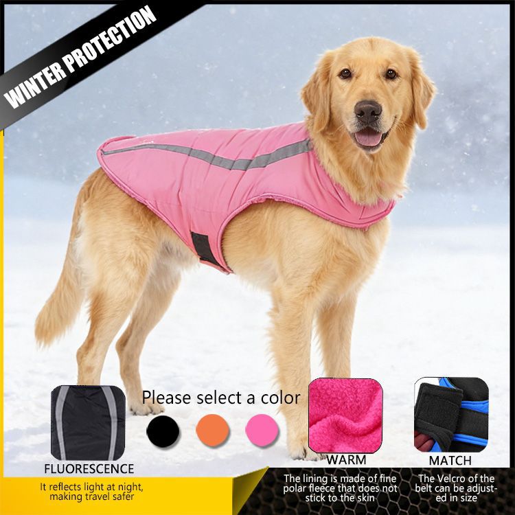 Baumwoll-Winterjacke für Hunde, alle Größen