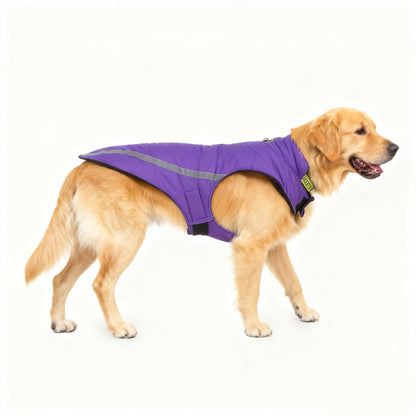 Baumwoll-Winterjacke für Hunde, alle Größen