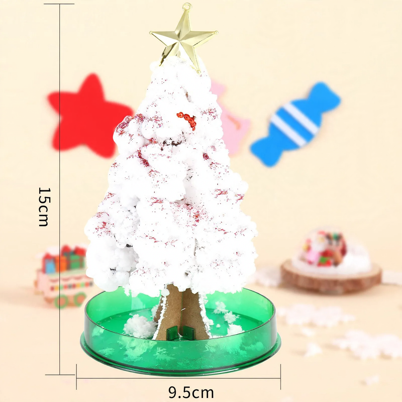 Magischer Papier-Weihnachtsbaum zum Selberzüchten
