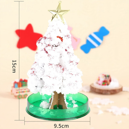 Magischer Papier-Weihnachtsbaum zum Selberzüchten