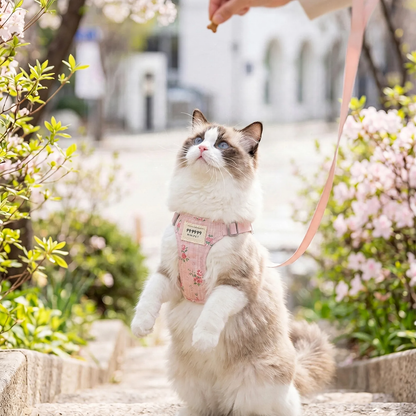 Katzen-Brustgeschirr, Oxford-Gewebe