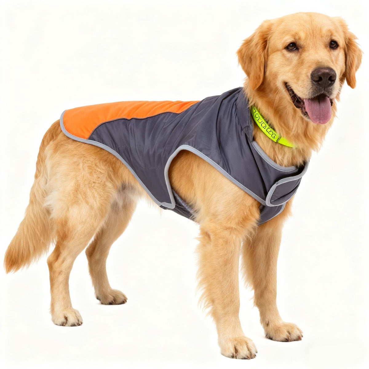 Baumwoll-Winterjacke für Hunde, alle Größen