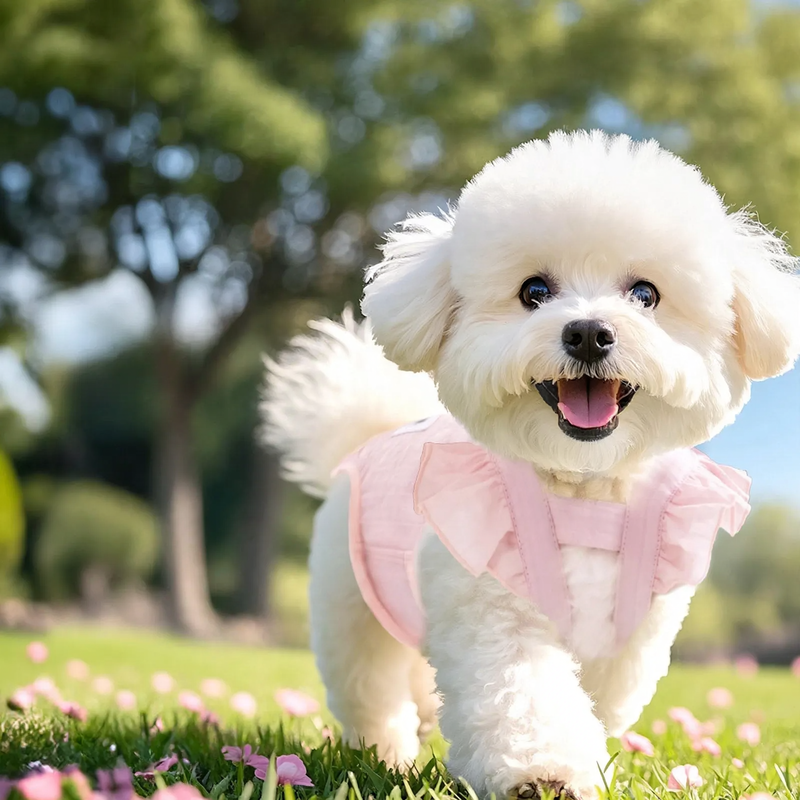 Waschbare Hygienewindeln für weibliche Hunde