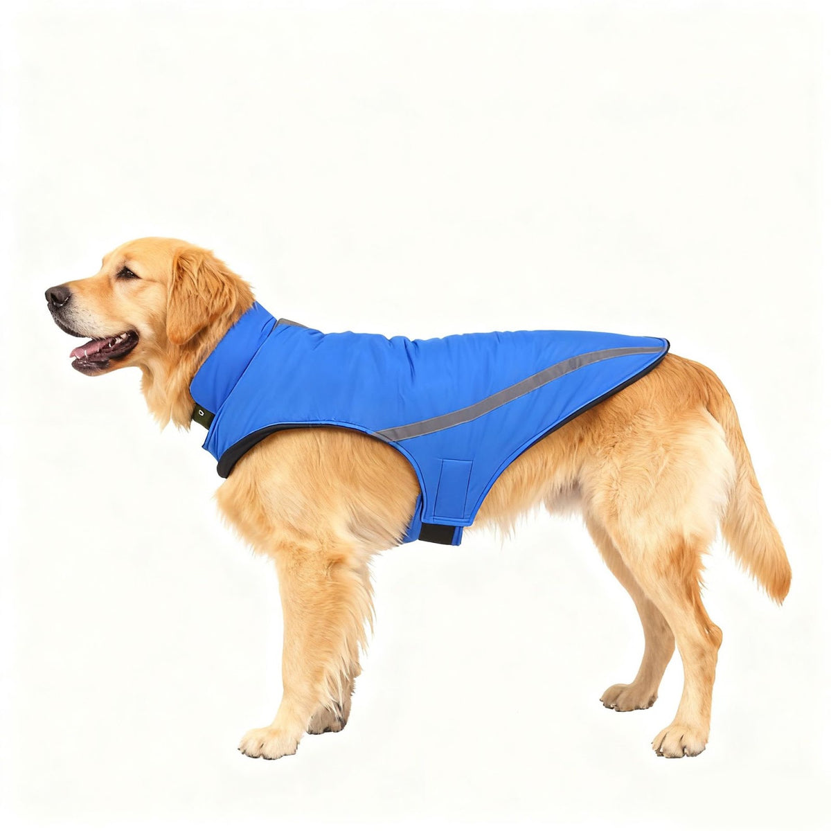 Baumwoll-Winterjacke für Hunde, alle Größen