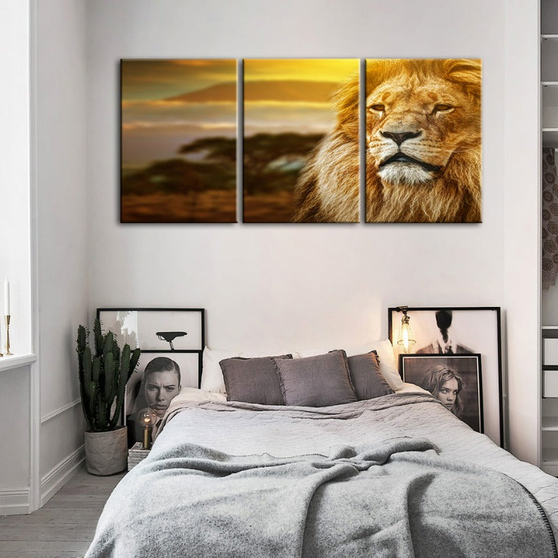 Unbeeindruckter Löwe – Leinwandbild, 3-teilig