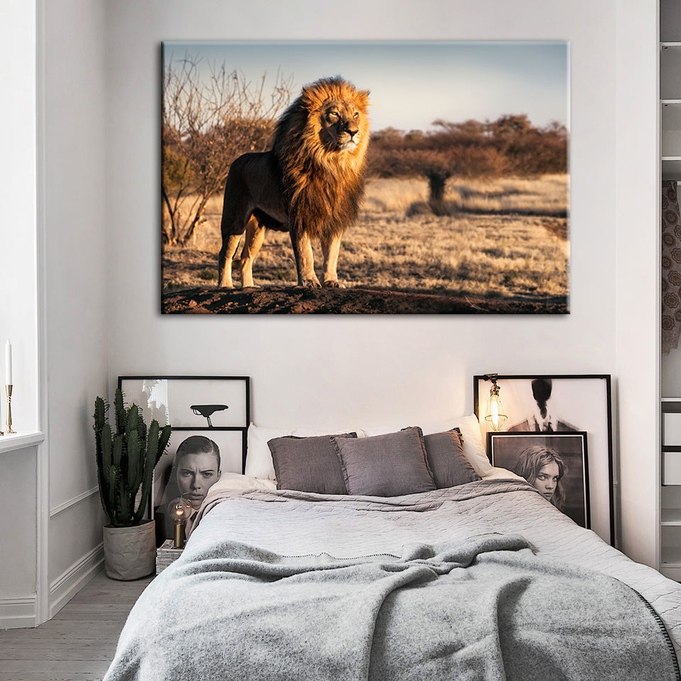 Majestischer Löwe, von Sonnenlicht durchflutet - Leinwand Wandkunst Gemälde