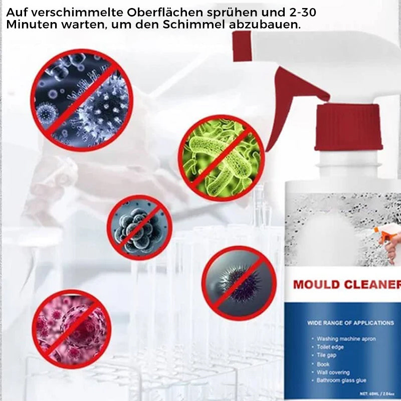 Anti-Schimmel-Reinigungsschaum | Brehn