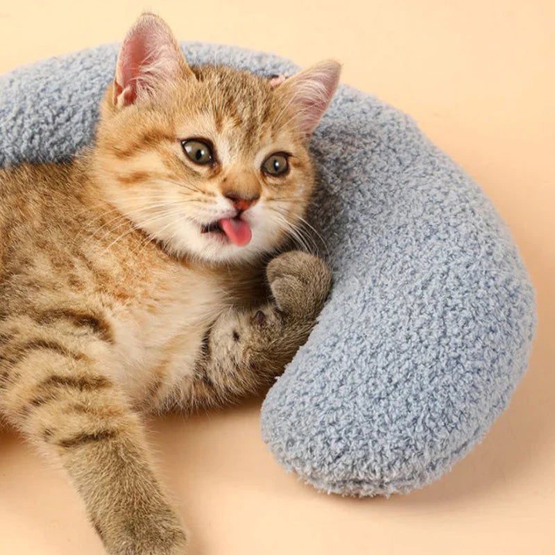 Brehn | Katze Schönes gemütliches Kissen