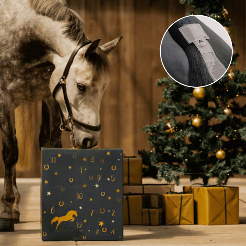 Brehn | Ponyleiste und Fransen Adventskalender 2024