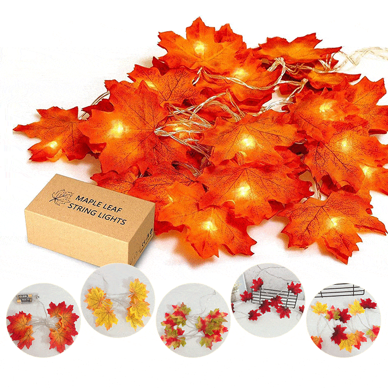 Thanksgiving-Dekor Herbst Ahornblatt Lichterkette | Brehn