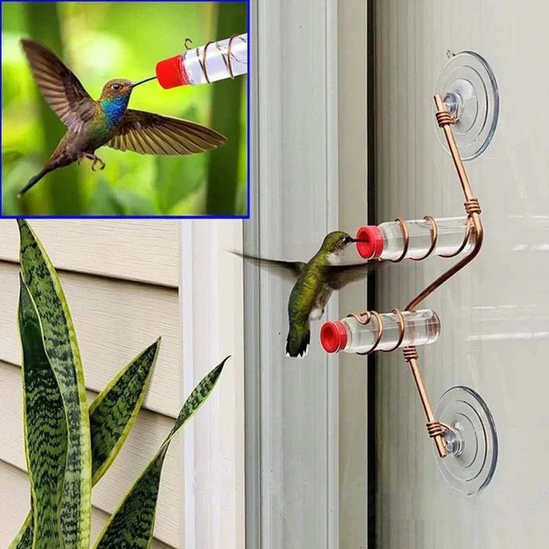 Brehn | Fensternektar - Sehen Sie die Vögel aus der Nähe - Wunder garantiert