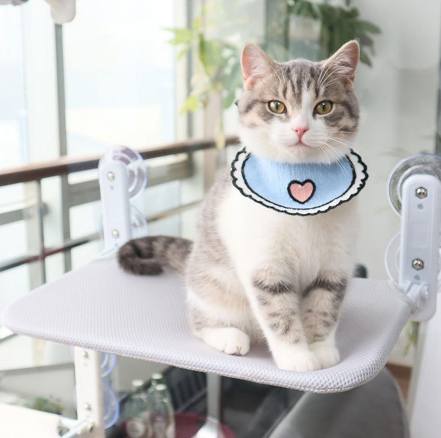 Gemütliche Katze Fenster Hängematte | Brehn