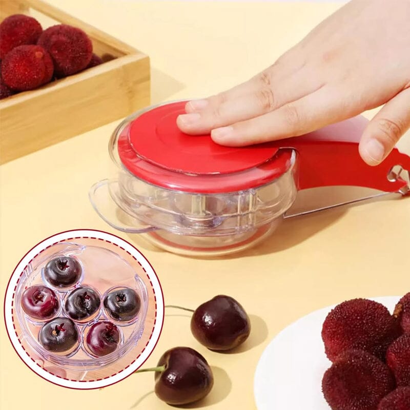 Cherry-Pit-Werkzeug | Brehn