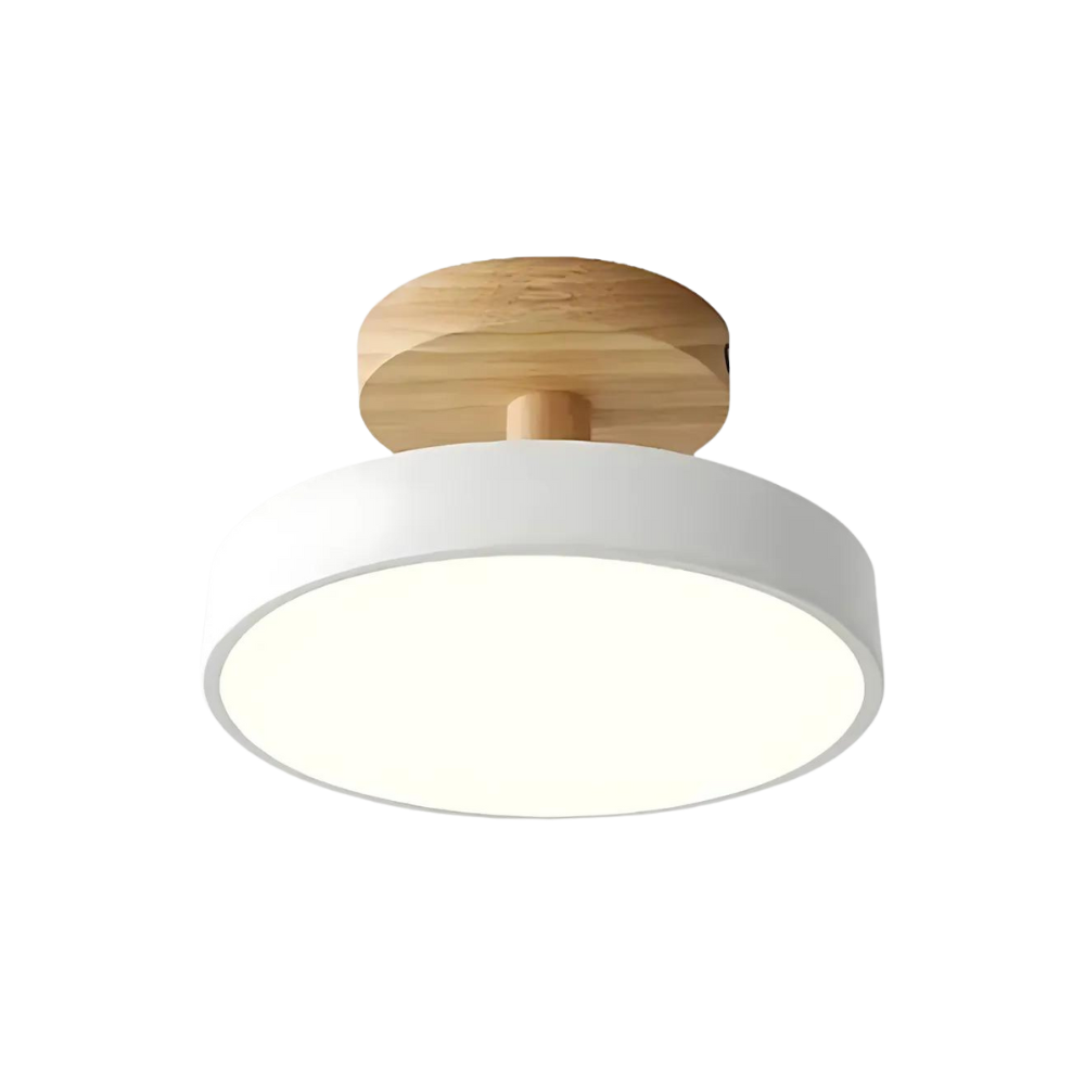 Brehn | Kompakte moderne LED-Deckenlampe